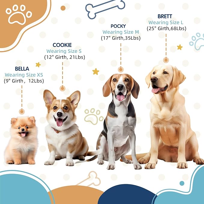 Tri-Color Dog Harness