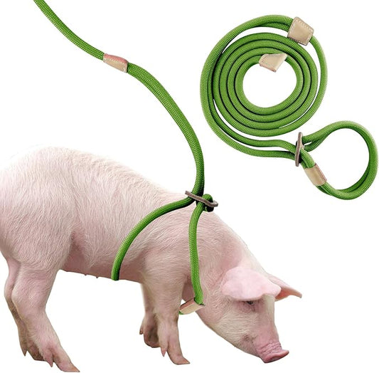 Mini Pig Harness & Leash, Adjustable 8 Feet Long Rope for Small to Medium Pet Pigs