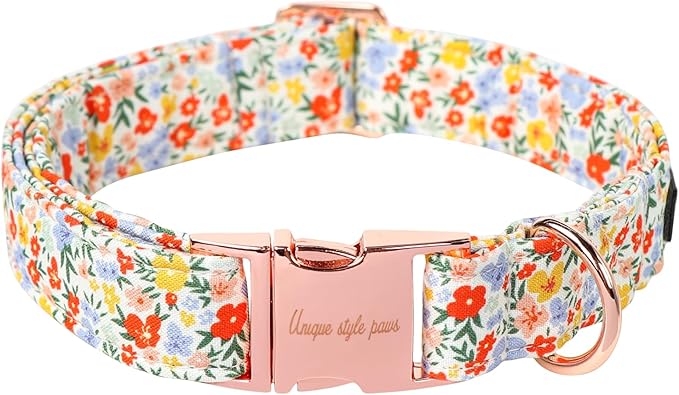Unique Style Paws Summer Dog Collar