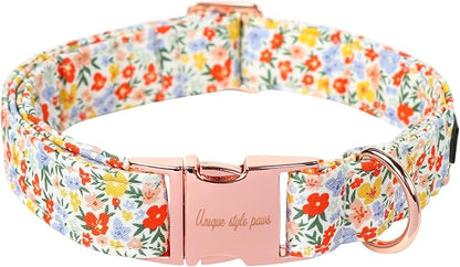 Unique Style Paws Summer Dog Collar