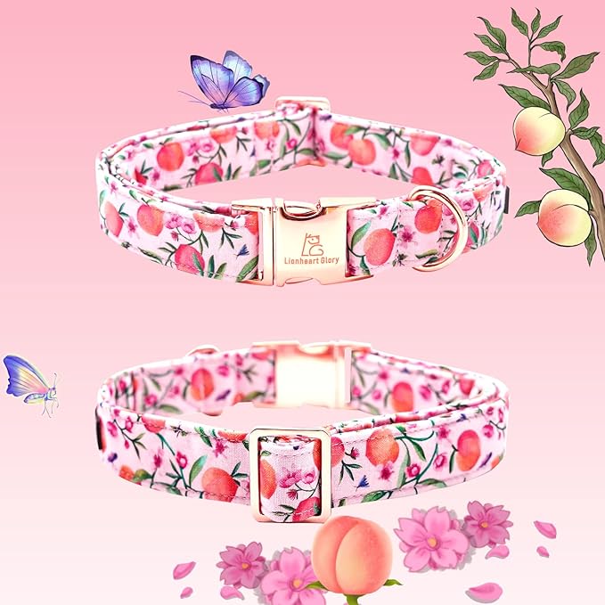 Lionheart glory Pink Dog Collar Peach Dog Collar