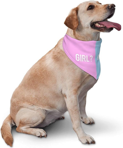 He Or She What Will It Be? Gender Reveal/Baby Announcement Dog Bandana,Pet Neckerchief for Pets Daily Wear Photo Prop Party Supplies (Pink/Blue-1)