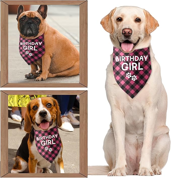 Birthday Girl Dog Birthday Bandana Girl Pink Dog