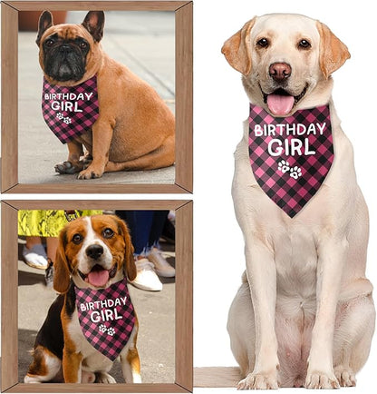 Birthday Girl Dog Birthday Bandana Girl Pink Dog