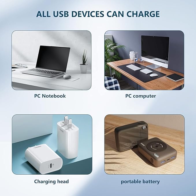 Charger Replacement Compatible for Delupet Dog Training Collar 2.6ft