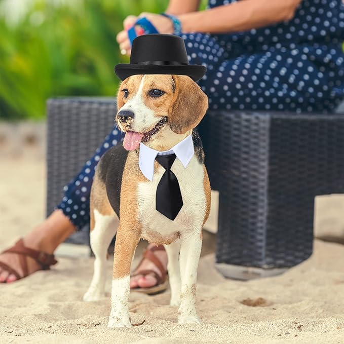 Yewong 2 Pieces Pet Formal Accessories Set