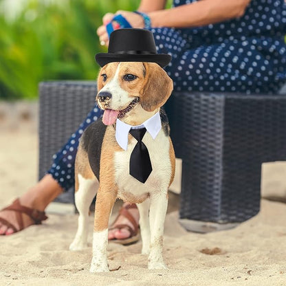 Yewong 2 Pieces Pet Formal Accessories Set