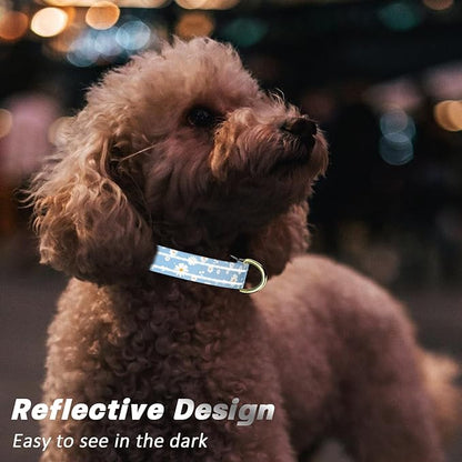 Reflective Dog Collar