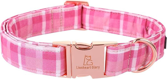 Lionheart glory Valentine's Day Collar