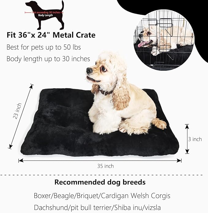 Dog Beds for Crates 36 x 24 Washable 36 with