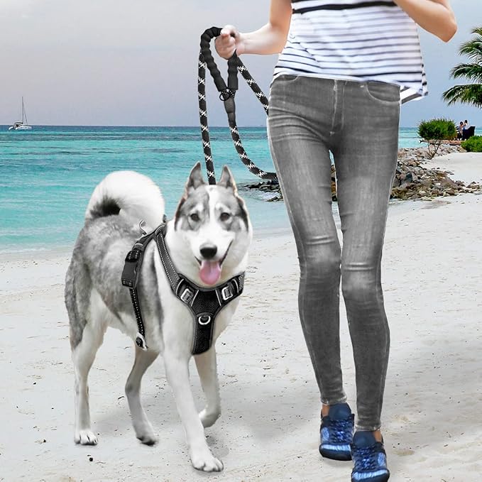 BARKBAY No Pull Dog Harness Large Step in Reflective Dog Harness with Front Clip and Easy Control Handle for Walking Training Running with ID tag Pocket(Black
