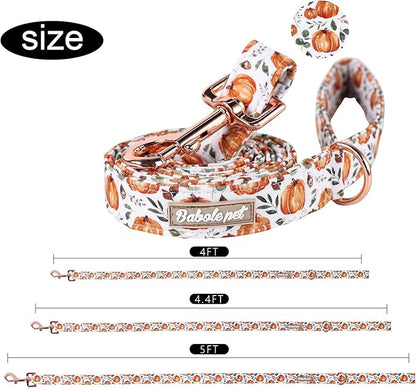 Halloween Dog Leash Durable Handmade Orange Gold Pumpkin 150cm