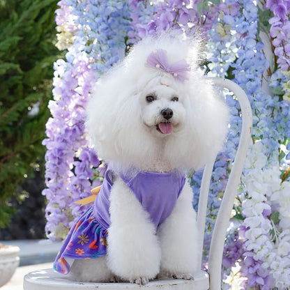 CuteBone Easter Dog Dress Velvet for Small Dogs Girl Flower Skirt Puppy Dresses Purple Dog Clothes CVA16M-D