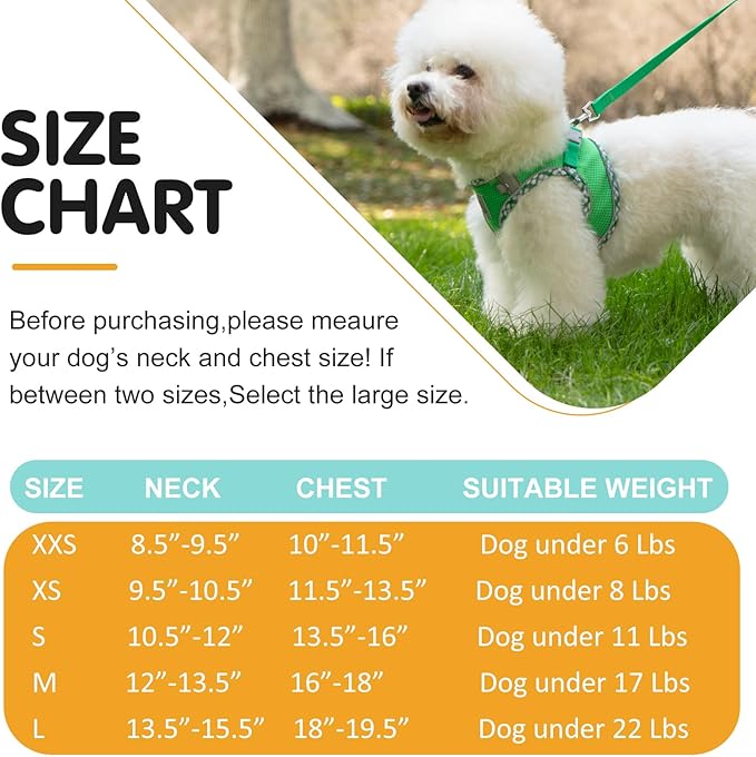 Dog Harness and Leash Set, No Pull Pet Harness for Small Dogs Easy Walking,Soft Breathable Small Dog Harness,Adjustable Reflective Step in Vest Harness for Puppy,Kitten, Cats