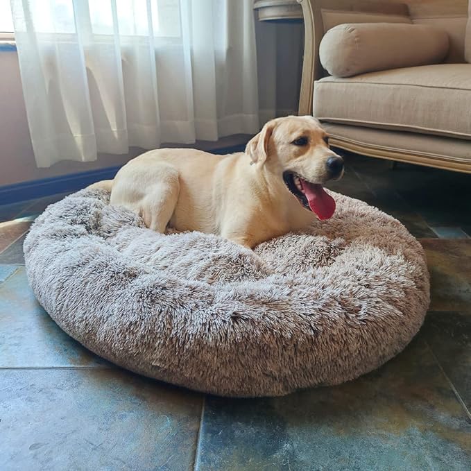 Coohom Oval Calming Donut Cuddler Dog Bed Bed(30"/36"/43") for (XXL(43"x34"x8"), Light