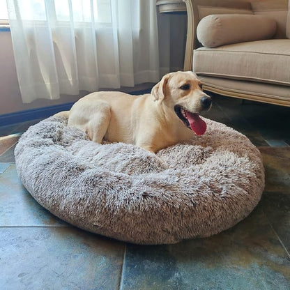 Coohom Oval Calming Donut Cuddler Dog Bed Bed(30"/36"/43") for (XXL(43"x34"x8"), Light