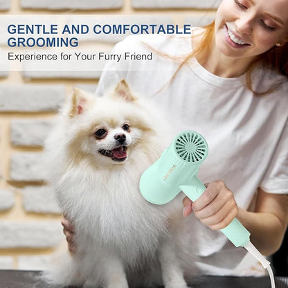 Low Noise Pet Blow Dryer with Slicker Brush - Adjustable Temperature, Overheating Protection for Grooming (Light Blue)