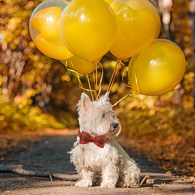 Lionheart glory Dog Collar Fall Dog Collars with Bow Plaid Dog Collar Bow Female Male Pet Collar Dogs Collar Bows Duty Adjustable Dog Bow Collars for Medium Dogs