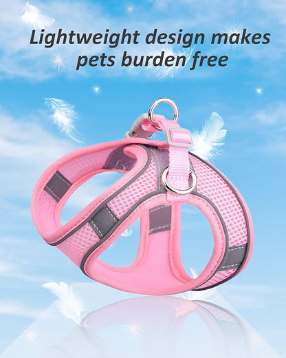 Solmoony Dog Harness for Small Medium Large Dogs No Pull, Puppy Harness and Leash Set, Puppy Harness for Small Dogs, Step in Harness for Small Dogs, Small Dog Harness, mesh Dog Harness. (Pink, XXS)