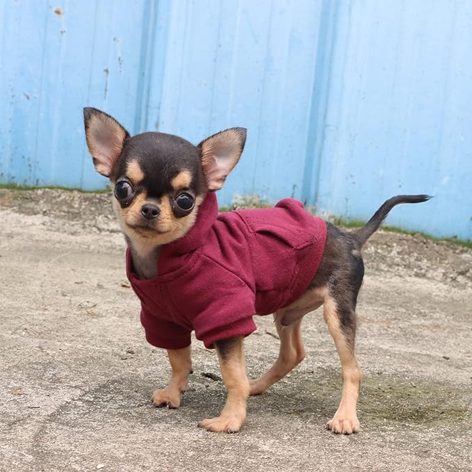 LOPHIPETS Lightweight Cotton Hoodie for Small Dogs – Hooded Sweatshirt for Chihuahuas Puppy and Toy Breeds-Red/XS