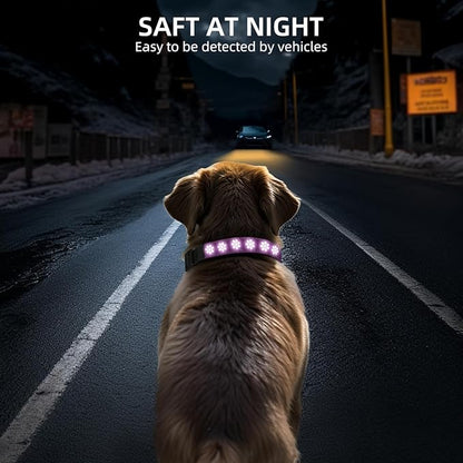 LED AirTag Dog Collar IP67 Waterproof 1,600 Feet
