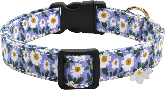Flower Patterns Dog Collar with Accessories