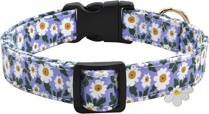 Flower Patterns Dog Collar with Accessories