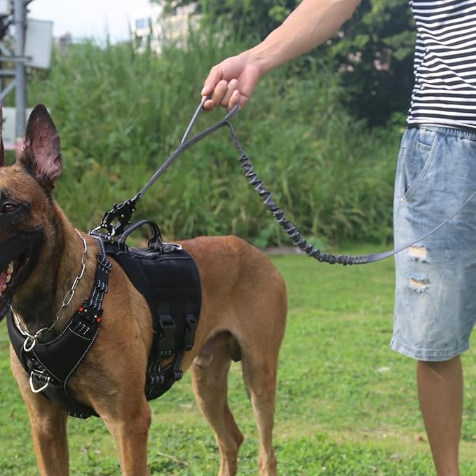 ICEFANG Tactical Dog Leash K9 Training 2 Control 6 FT)