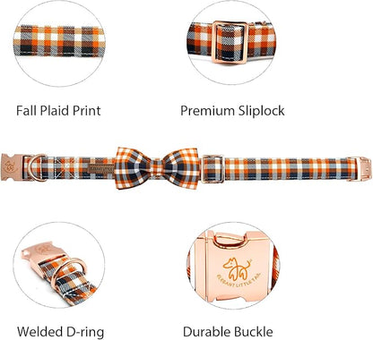 Elegant little tail Fall Dog Collar