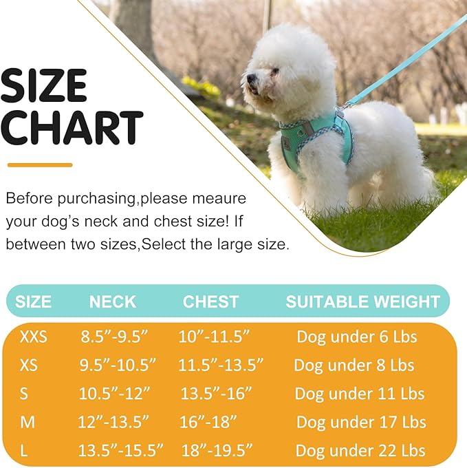 Dog Harness and Leash Set, No Pull Pet Harness for Small Dogs Easy Walking,Soft Breathable Small Dog Harness,Adjustable Reflective Step in Vest Harness for Puppy,Kitten, Cats