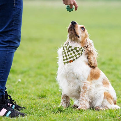 Green Checkered Dog Bandana Classic Checkerboard Print Fabric Pet Scarf Medium Sizes Adjustable Pet Neckerchief Dog Bibs for Cat Dog Birthday Costume Accessories