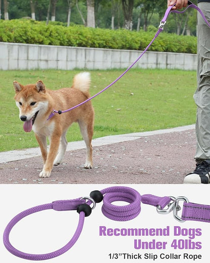 Aiyuda Tangle-Free Slip Lead for Dogs with Padded Traffic Handle 6ft Dog 40 LBS,Purple/Black