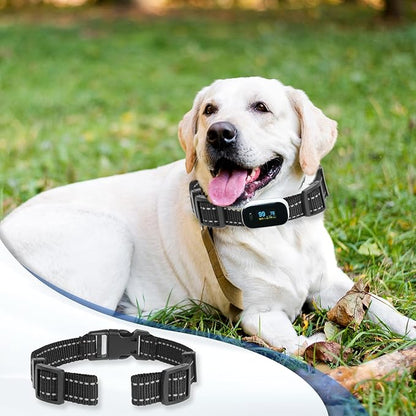 Reflective Collar Replacement Strap (2cm Wide)