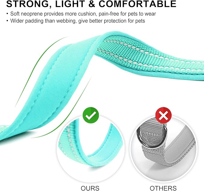 azuza Reflective Dog Collar with Airtag Holder