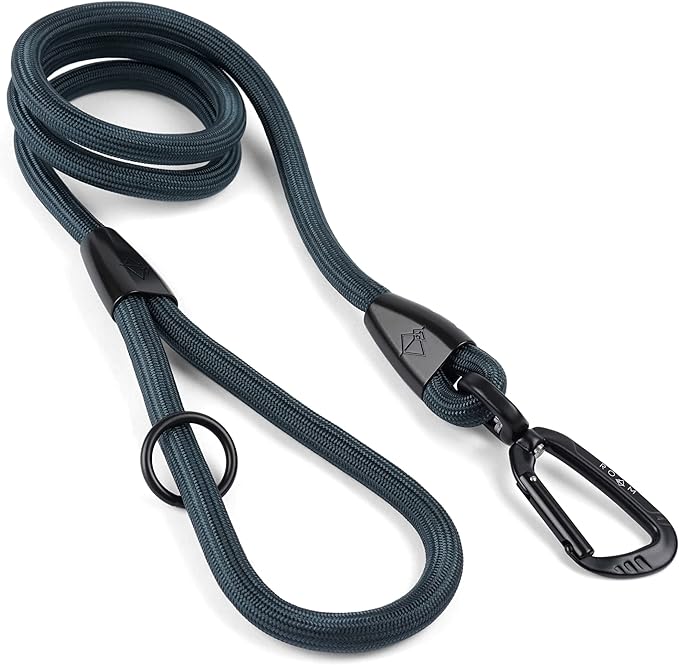 MADE TO ROAM Premium Everyday Leash 4ft (Metal