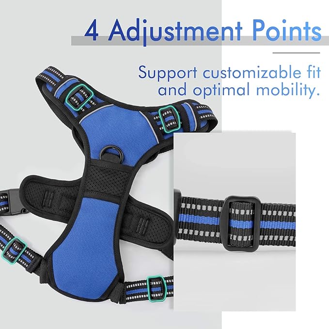 rabbitgoo Dog Harness 2 Leash