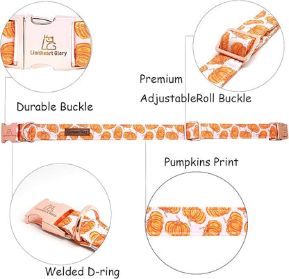 Lionheart glory Halloween Dog Collars Pumpkin Dog Collar