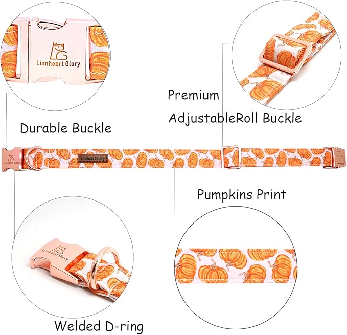 Lionheart glory Halloween Dog Collars Pumpkin Dog Collar