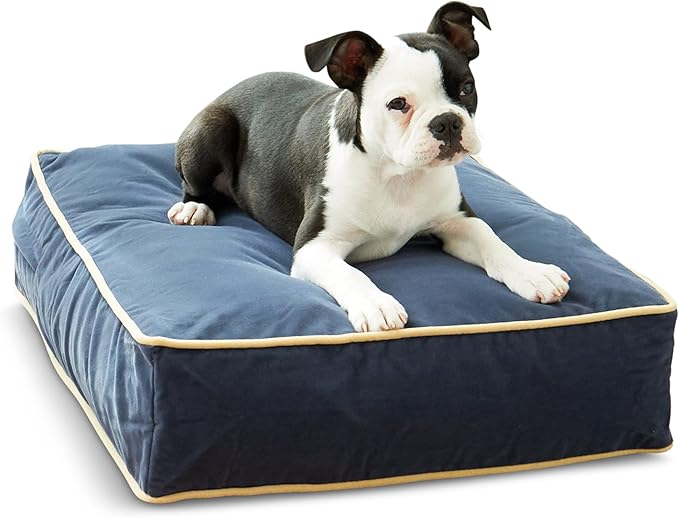 South Pine Porch Buddy Rectangle Pillow Style Dog Bed (24" x 18")