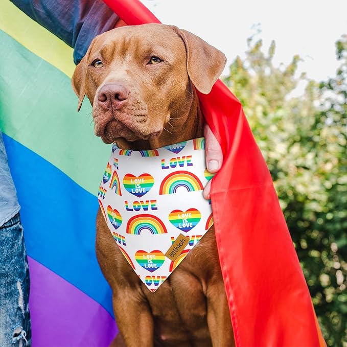 Pride Dog Bandanas 2 Pack