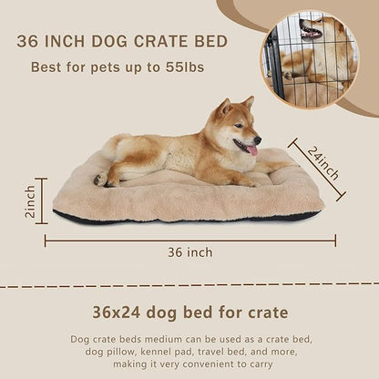 36 inch Dog Crate Pad for Medium Sized Dogs Washable,Soft Comfy 24x36 Dog Bed for Kennel with Anti-Slip Bottom Pet Sleeping Mat,Khaki