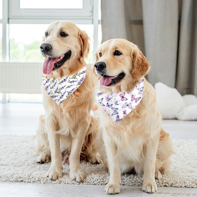 Spring Dog Bandanas 2 Pack,