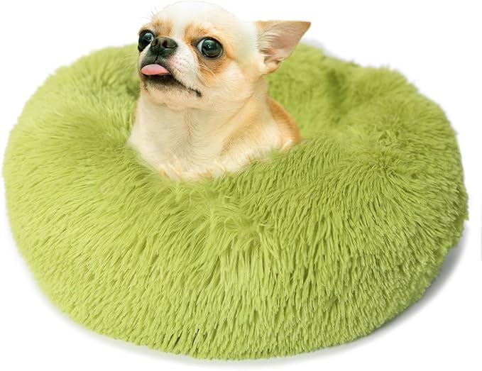 Green Dog Beds for Small Dogs Tiny 15 inches 5 lbs