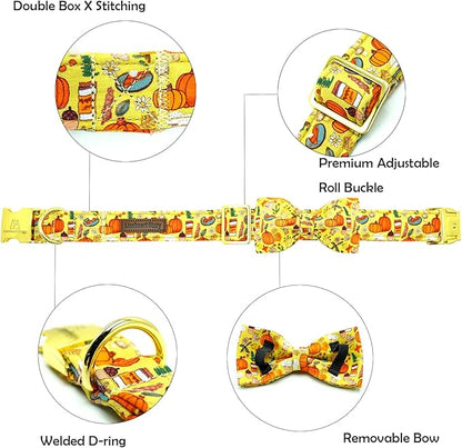 Lionheart glory Fall Dog Collar with Bowtie Halloween