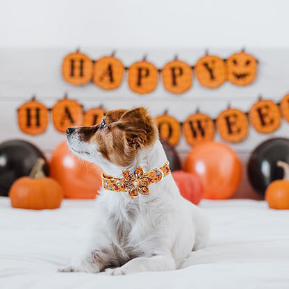 Elegant little tail Halloween Dog Collar