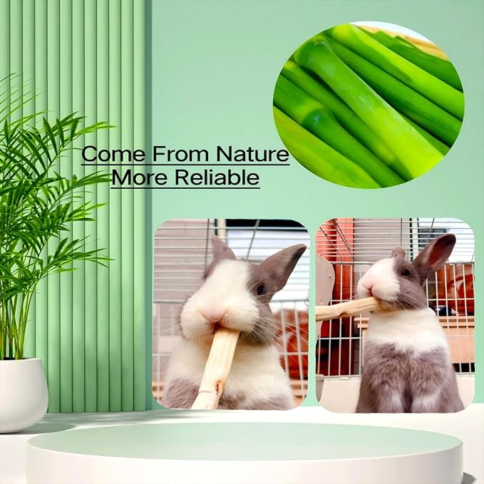 300g Snacks Sweet Bamboo Chew Toy for Rabbits Chew Sticks for Hamster Chinchilla Guinea Pig,Molar Treats Snack for Small Animals