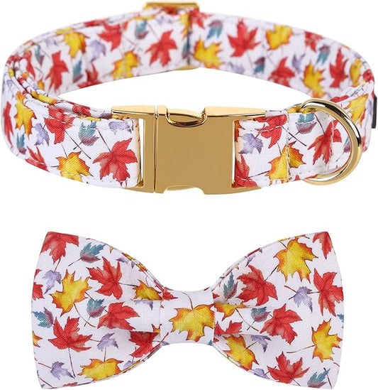 Lionet Paws Dog Collar with Bowtie 16-26in