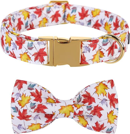 Lionet Paws Dog Collar with Bowtie 10-16in