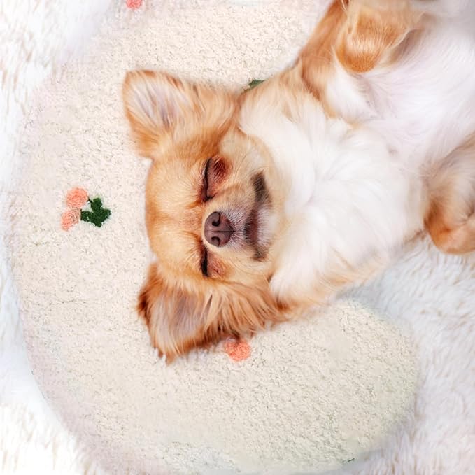 Mity rain Dog Pillow 14.2" * 9.4", Anxiety