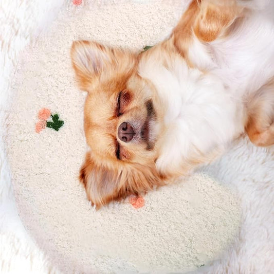 Mity rain Dog Pillow 14.2" * 9.4", Anxiety